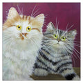 Greetings Card Kim Haskins Pumpkin and Poppy Greetings Card BCW613