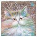 Greetings Card Kim Haskins Starlight Greetings Card BCW308