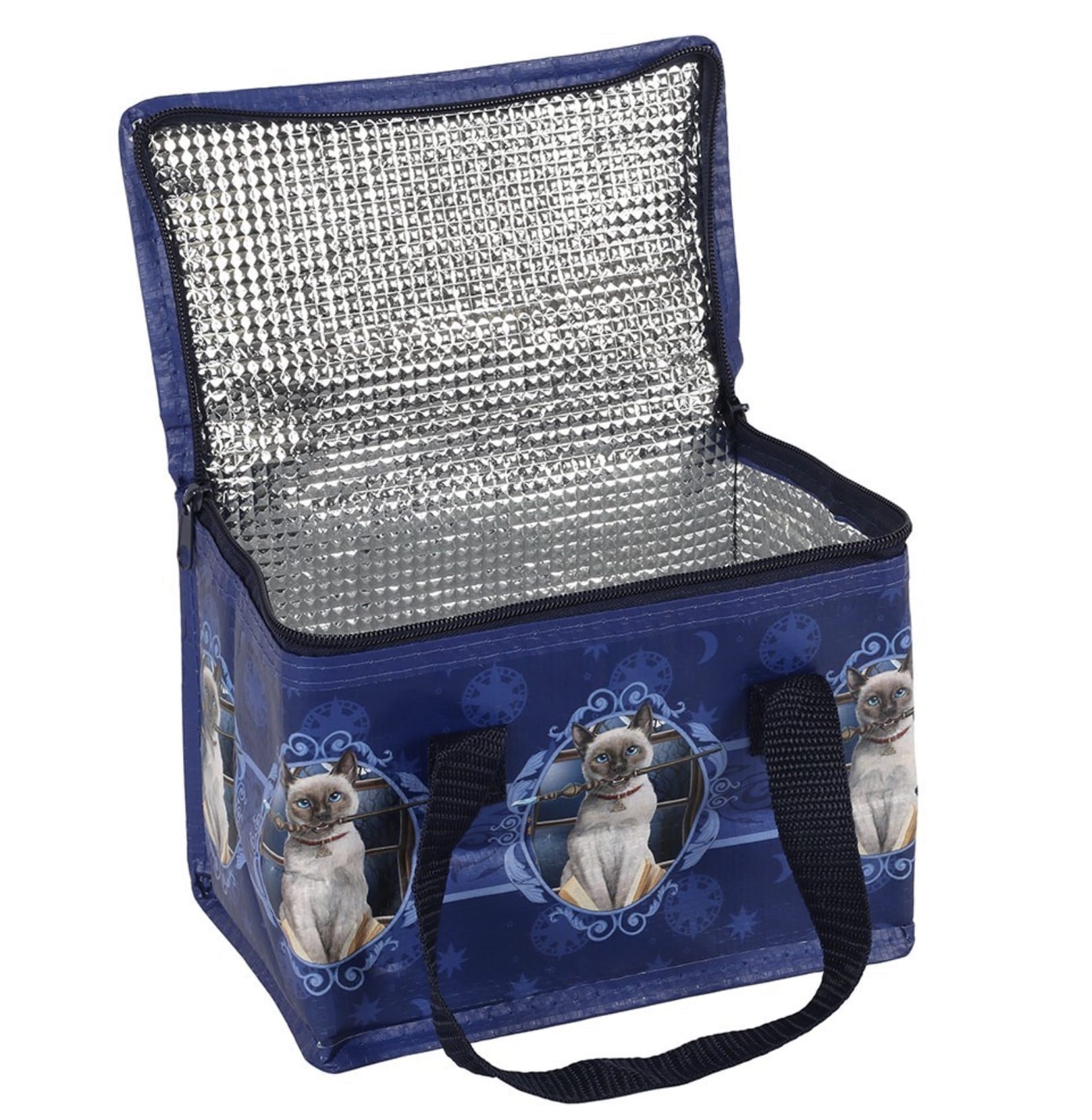 Open Lisa Parker Hocus Pocus insulated lunch bag showing silver insulated lining and magical cat artwork.