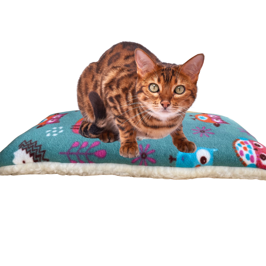 Luxury Cat Windowsill Bed