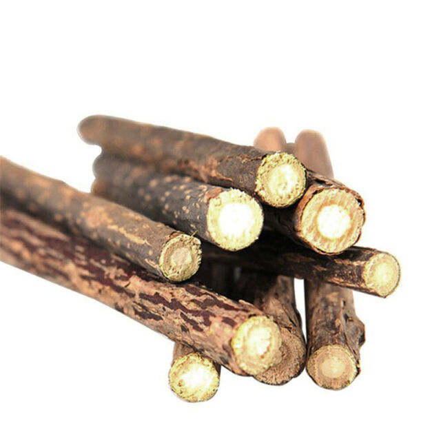 Silvervine Matatabi Chew Sticks Cat Toy for Cats & Kittens