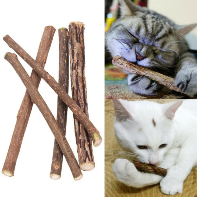 Silvervine Matatabi Chew Sticks Cat Toy for Cats & Kittens
